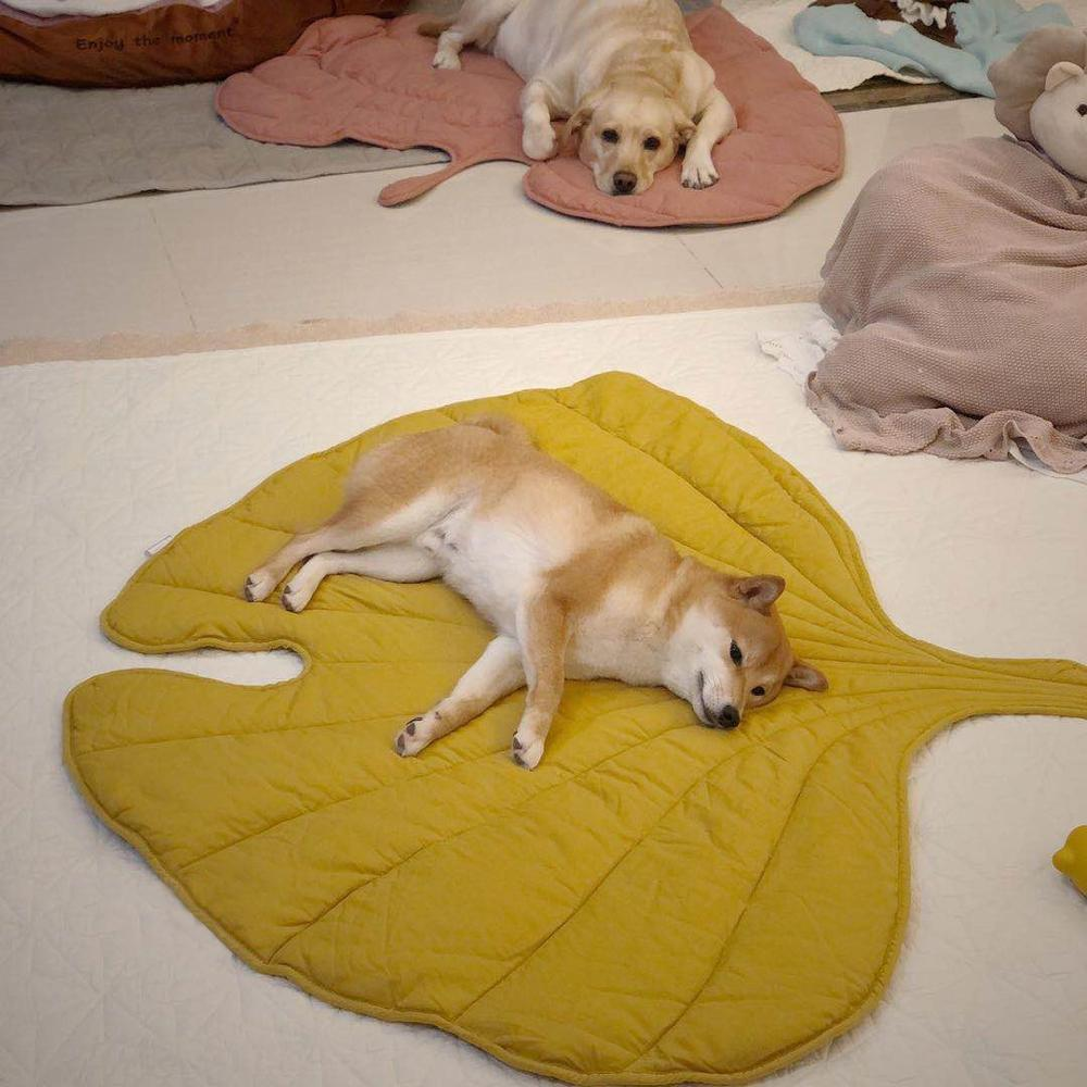 Fashion Creativity Leaf Heart-Shaped Blanket Carpet Summer for Child and Pet Cat Dog Mat Comfort Throw Mat Home Decor Carpet